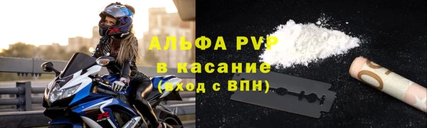 СК Белокуриха
