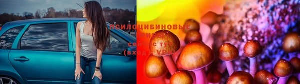 мяу мяу мука Богородск